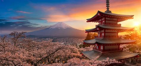 From Cherry Blossoms to Geisha: Japan's Spellbinding Symbols of Beauty